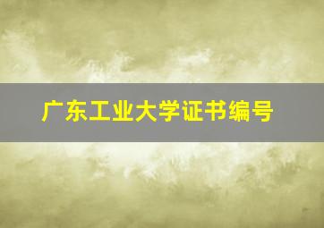 广东工业大学证书编号