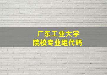 广东工业大学院校专业组代码