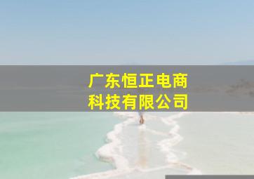 广东恒正电商科技有限公司