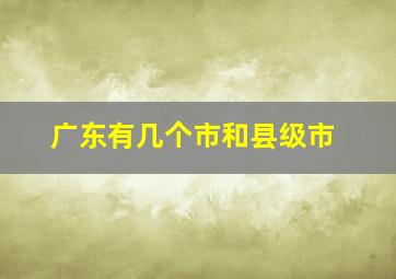 广东有几个市和县级市