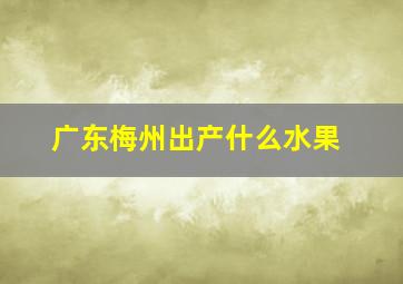 广东梅州出产什么水果