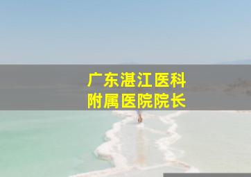 广东湛江医科附属医院院长