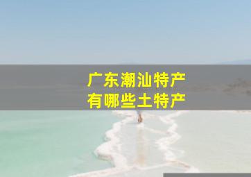 广东潮汕特产有哪些土特产