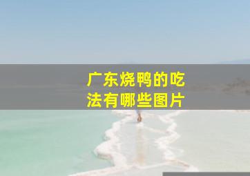 广东烧鸭的吃法有哪些图片