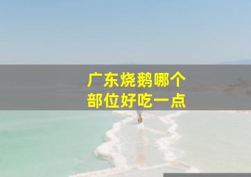 广东烧鹅哪个部位好吃一点