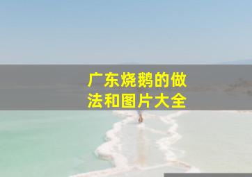 广东烧鹅的做法和图片大全