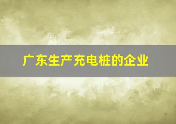 广东生产充电桩的企业