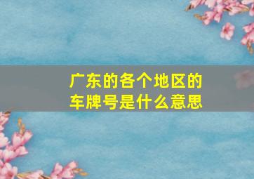 广东的各个地区的车牌号是什么意思