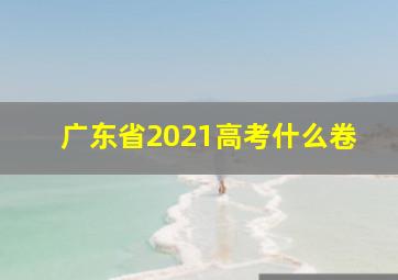 广东省2021高考什么卷