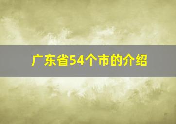 广东省54个市的介绍