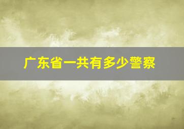 广东省一共有多少警察