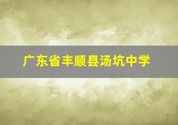 广东省丰顺县汤坑中学