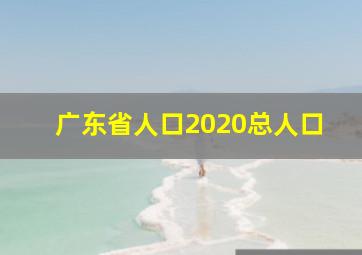 广东省人口2020总人口