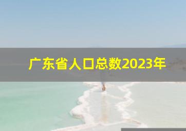 广东省人口总数2023年