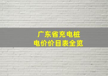 广东省充电桩电价价目表全览