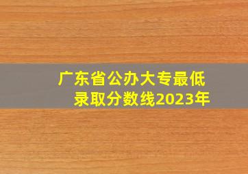 广东省公办大专最低录取分数线2023年