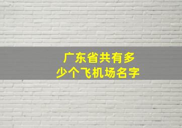 广东省共有多少个飞机场名字