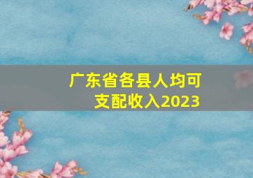 广东省各县人均可支配收入2023