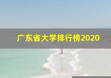 广东省大学排行榜2020