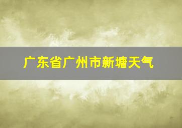 广东省广州市新塘天气