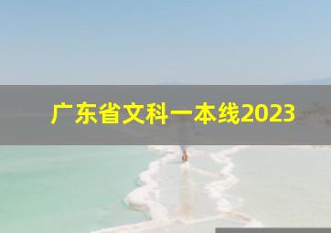 广东省文科一本线2023