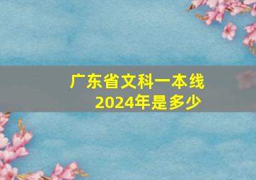 广东省文科一本线2024年是多少