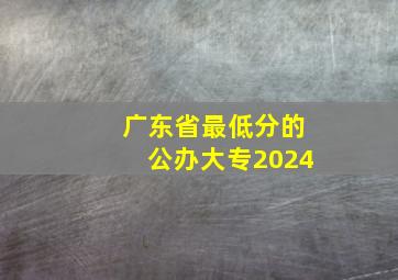 广东省最低分的公办大专2024