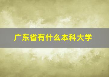 广东省有什么本科大学