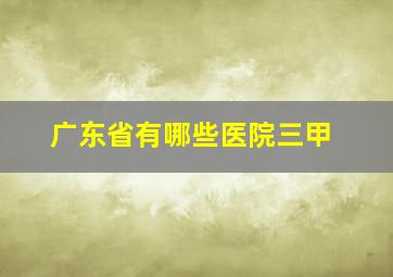 广东省有哪些医院三甲