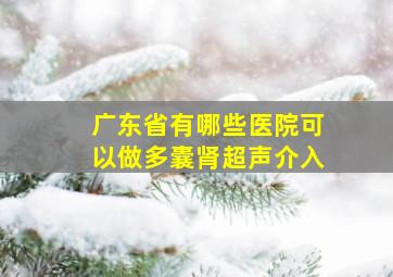 广东省有哪些医院可以做多囊肾超声介入