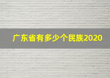 广东省有多少个民族2020