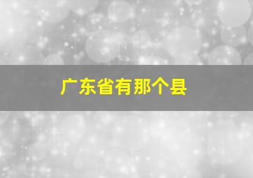 广东省有那个县