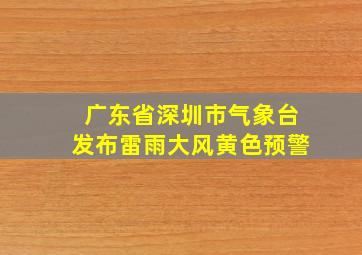 广东省深圳市气象台发布雷雨大风黄色预警