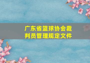 广东省篮球协会裁判员管理规定文件