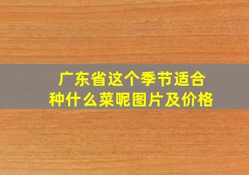 广东省这个季节适合种什么菜呢图片及价格