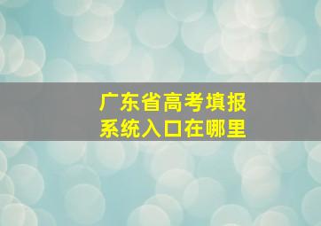 广东省高考填报系统入口在哪里