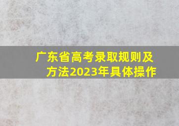 广东省高考录取规则及方法2023年具体操作