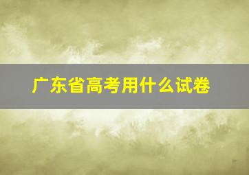 广东省高考用什么试卷