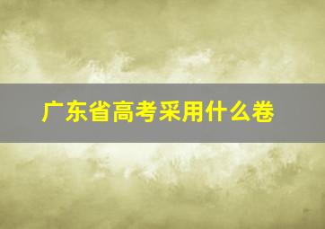 广东省高考采用什么卷