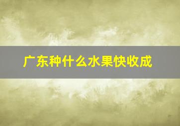 广东种什么水果快收成