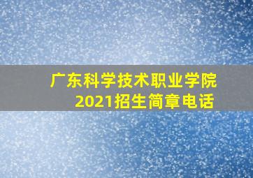 广东科学技术职业学院2021招生简章电话