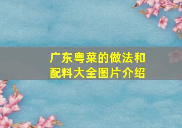 广东粤菜的做法和配料大全图片介绍