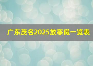 广东茂名2025放寒假一览表