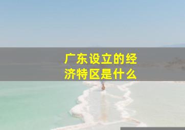 广东设立的经济特区是什么