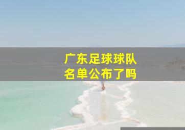 广东足球球队名单公布了吗