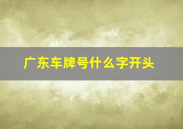 广东车牌号什么字开头