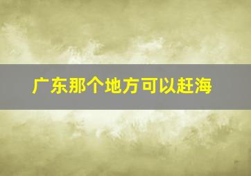 广东那个地方可以赶海