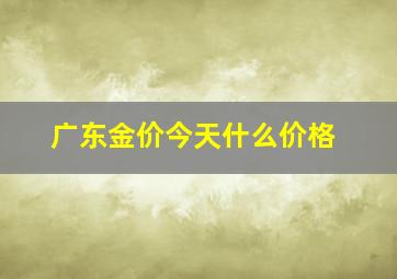 广东金价今天什么价格