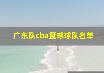 广东队cba篮球球队名单