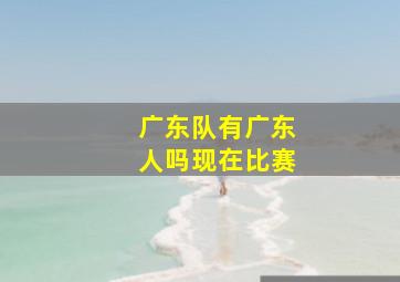 广东队有广东人吗现在比赛